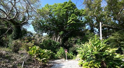 ⛩️ 오쿠 신사(구니가미 오쿠진자) 이미지 6